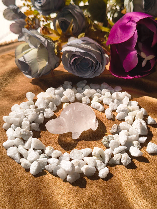 Original Clear Quartz Turtle Carving