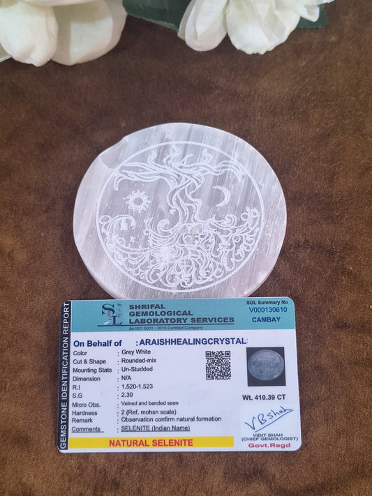 The Etched Tree of Life Selenite Plate {With Certificate}