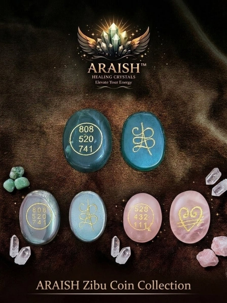 ARAISH Zibu Coin Collection