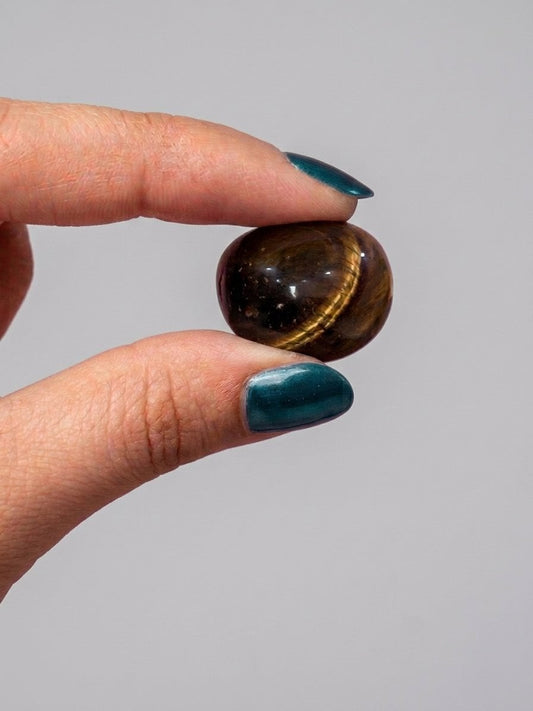 THE PREDATOR | Premium Tiger’s Eye Tumbled Stones