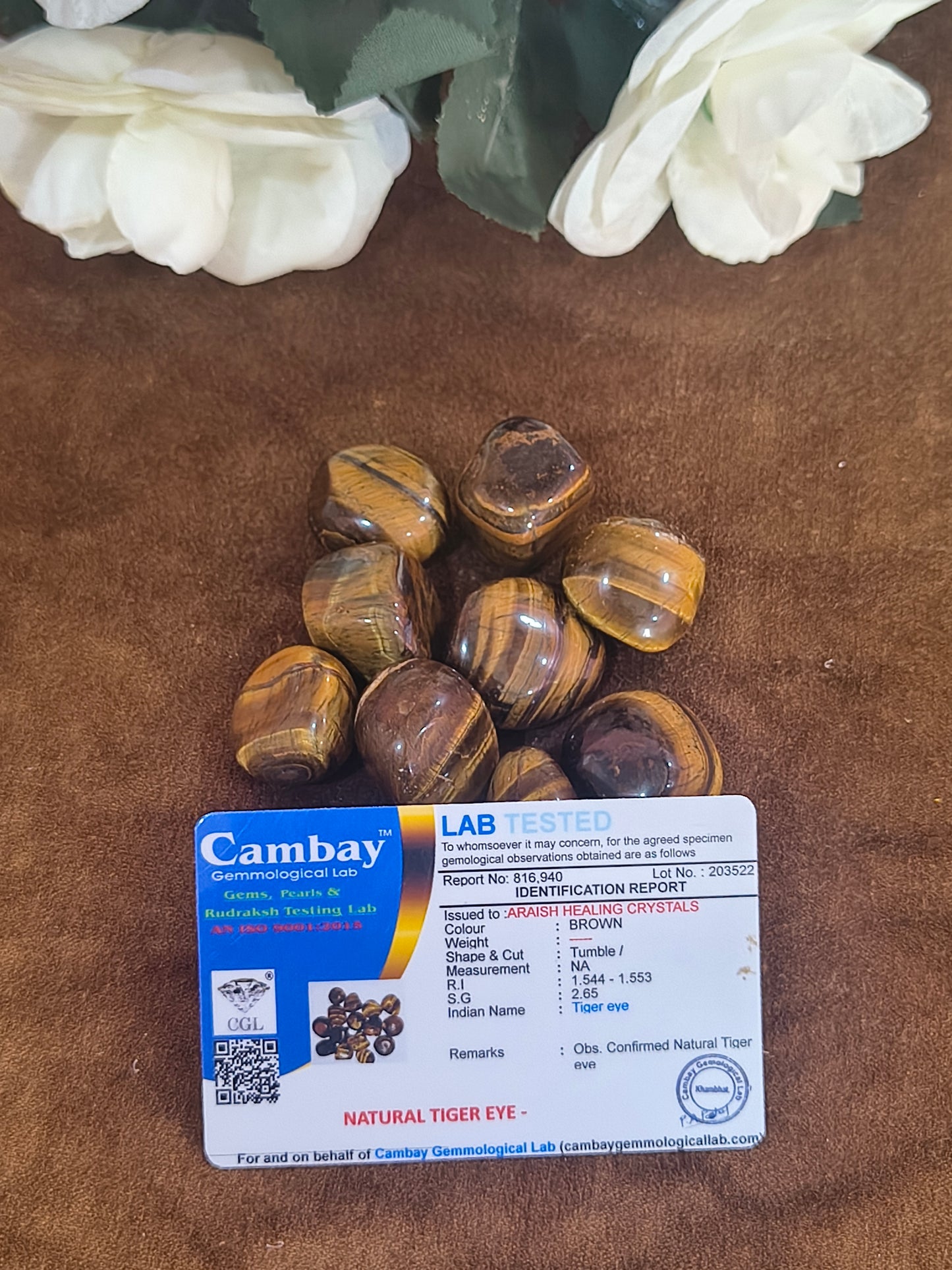 THE PREDATOR | Premium Tiger’s Eye Tumbled Stones